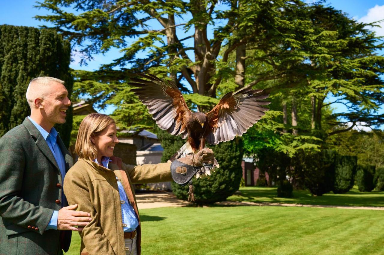 Carton House A Fairmont Managed Hotel Мейнут Екстер'єр фото Visitors at the Hawk Conservancy Trust