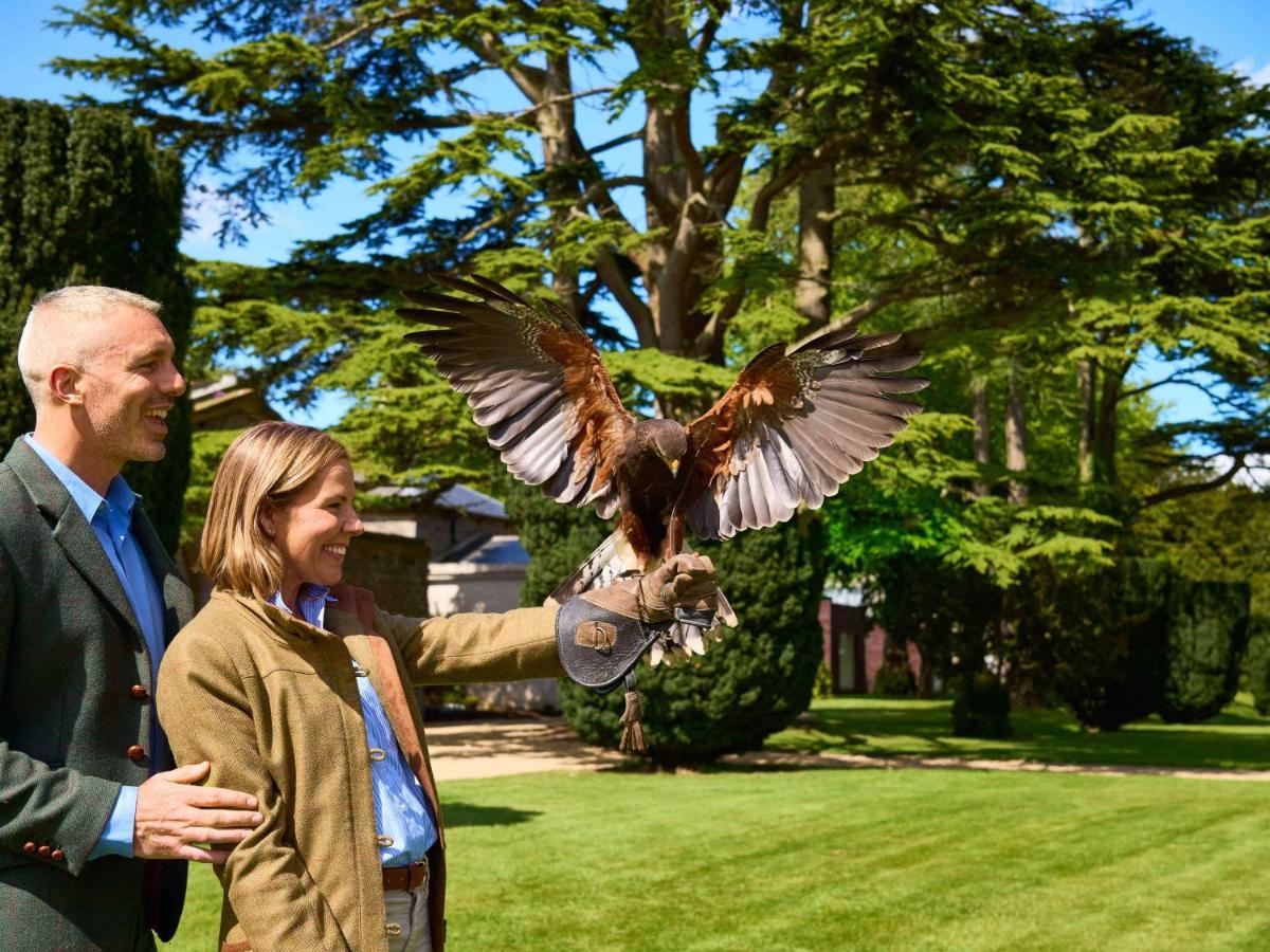 Carton House A Fairmont Managed Hotel Мейнут Екстер'єр фото Falconry at the London Zoo